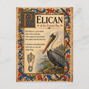 Cartão Postal Pelicano, Arte do Bestiário Medieval