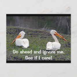 Cartão Postal Pelicanos de Feuding