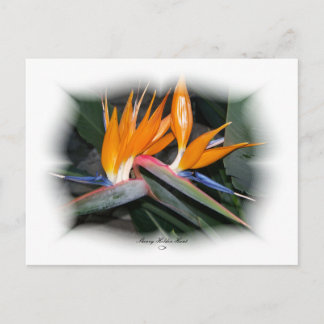 Cartão Postal Películas lindas 29