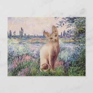 Cartão Postal Pelo Sena - Cream Sphynx cat