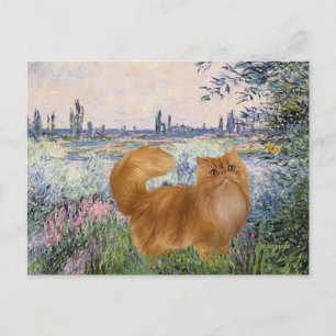 Cartão Postal Pelo Sena - Gato Persa Vermelho