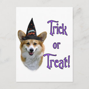 Cartão Postal Pembroke Welsh Corgi Trick