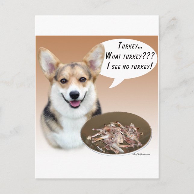 Cartão Postal Pembroke Welsh Corgi Turquia (Frente)