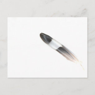 Cartão Postal Pena