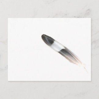 Cartão Postal Pena