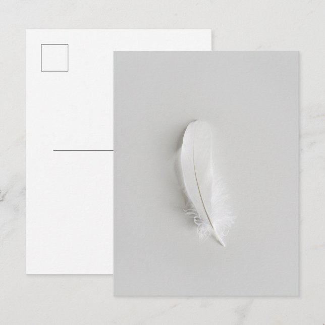 Cartão Postal Pena branca minimalista (Frente/Verso)