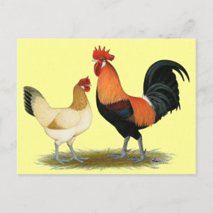 Cartão Postal Penedesenc a Chickens