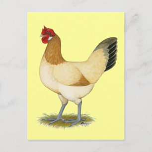 Cartão Postal Penedesenca: Galinha Wheaten