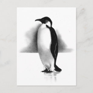 CARTÃO POSTAL PENGUIM EM LÁPIS: ARTE REALISTA