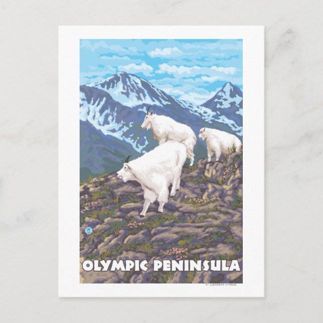 Cartão Postal Península olimpiadas, Cabras de Washington (Frente)