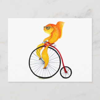 Cartão Postal Penny Farthing Fish