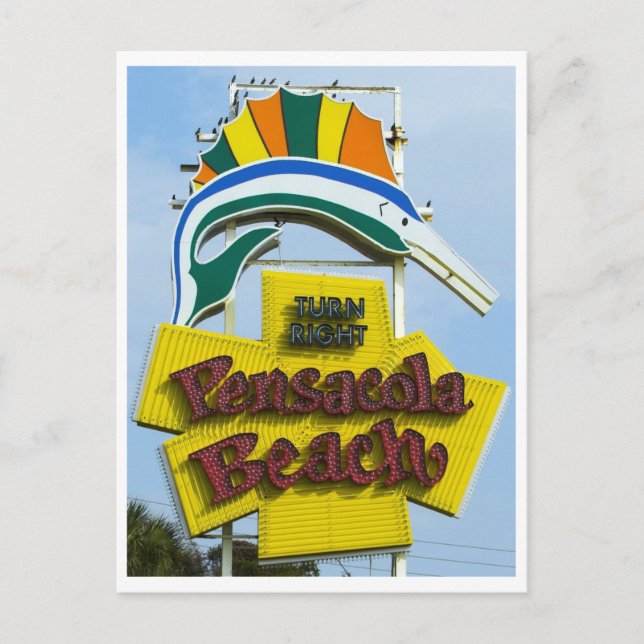 Cartão Postal Pensacola Beach Flórida Sinal (Frente)