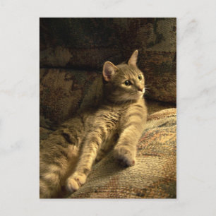 Cartão Postal Pensador