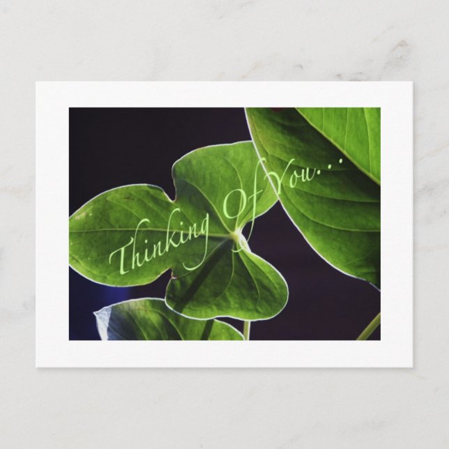Cartão Postal Pensamento de você… (Frente)