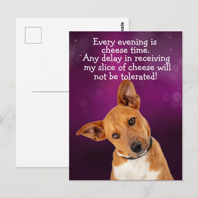 Cartão Postal Pensamento engraçado de cachorro (Frente/Verso)