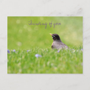 Cartão Postal Pensamentos do seu cartão-postal 