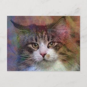 Cartão Postal Pensamentos profundos