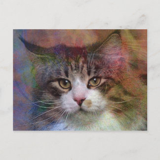 Cartão Postal Pensamentos profundos