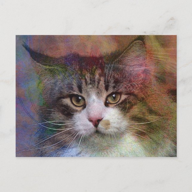 Cartão Postal Pensamentos profundos (Frente)