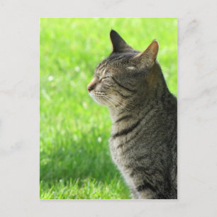 Cartão Postal Pensando... de vocês...