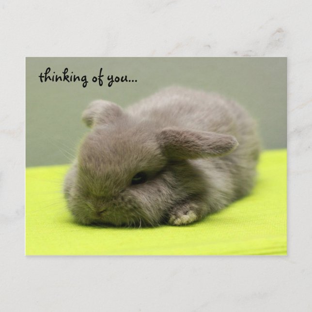 Cartão Postal pensando em você... (Frente)