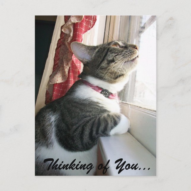 Cartão Postal Pensando em você... (Frente)