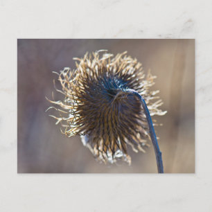 Cartão Postal Pensando em você