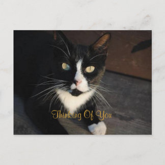 Cartão Postal Pensando Em Você