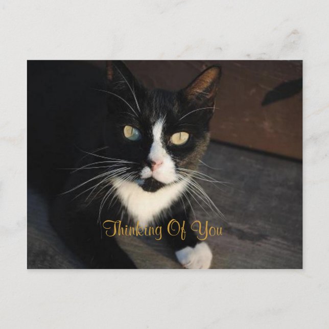 Cartão Postal Pensando Em Você (Frente)