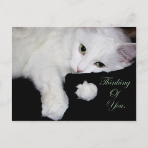 Cartão Postal Pensando em você.