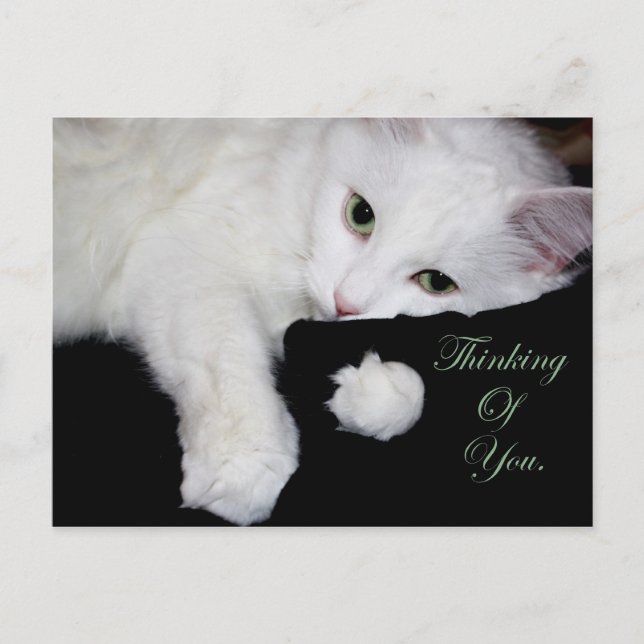 Cartão Postal Pensando em você. (Frente)