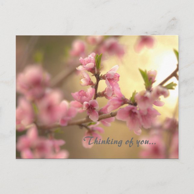 Cartão Postal Pensando em você... (Frente)