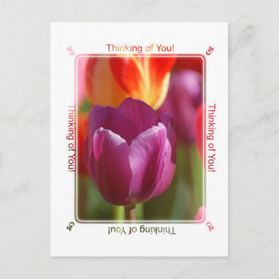 Cartão Postal Pensando em você