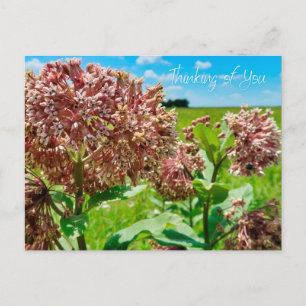 Cartão Postal Pensando em você