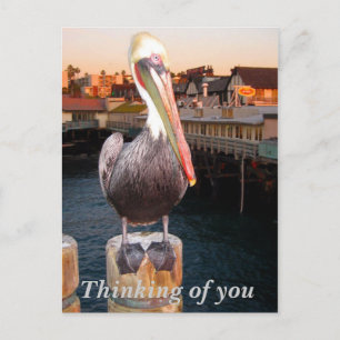 Cartão Postal Pensando em você_Cartão postal