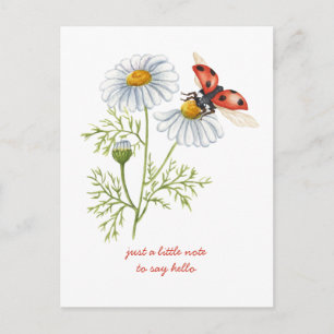 Cartão Postal Pensando em você Daisies e Ladybug