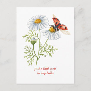 Cartão Postal Pensando em você Daisies e Ladybug