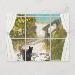 CARTÃO POSTAL PENSANDO EM VOCÊ Gatos e Oceano