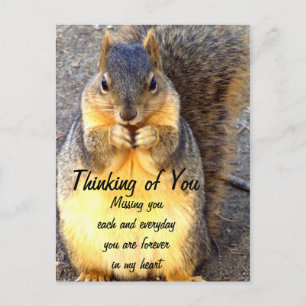 Cartão Postal Pensando em você, Srta.