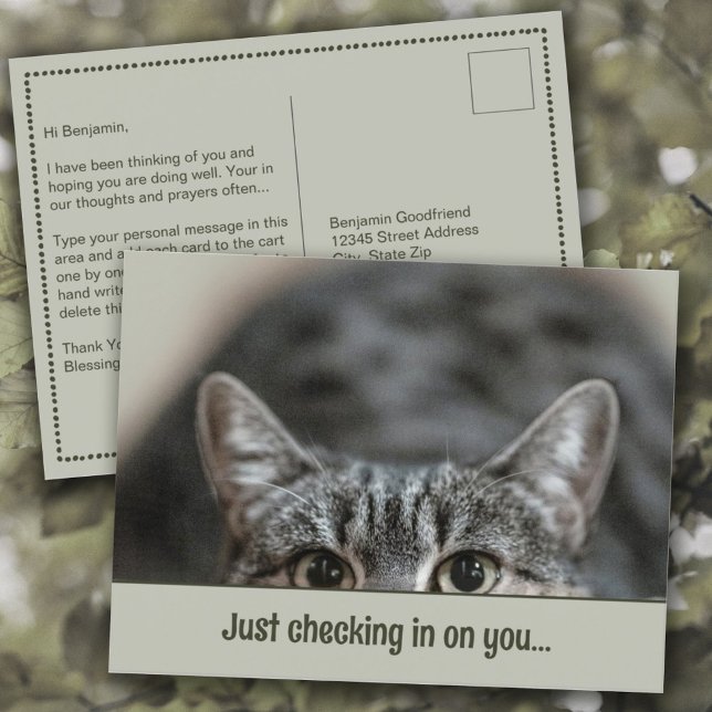 Cartão Postal Pensando no seu Modelo de Legenda de Gato (Thinking of You "Just Checking in on You" Cute Cat Personalized Caption Template Postcard)