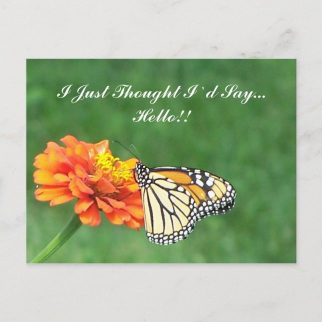 Cartão Postal Pensei em dizer... Olá! (Frente)