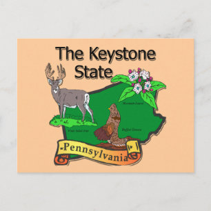 Cartão Postal Pensilvânia, A Flor De Veado Do Estado De Keystone
