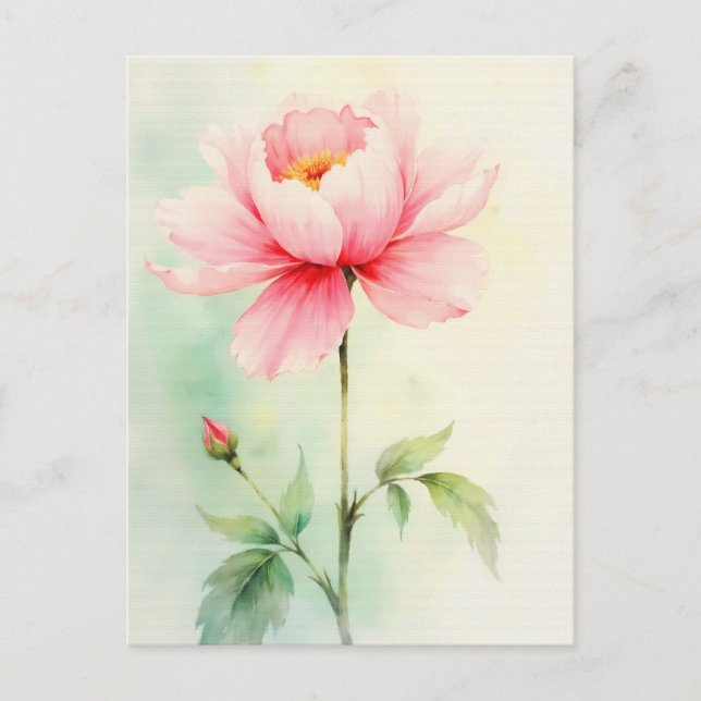 Cartão Postal Peônia Rosa (Frente)