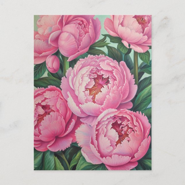 Cartão Postal Peônias cor-de-rosa (Frente)