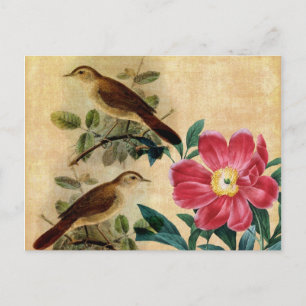 Cartão Postal Peony com Nightingales