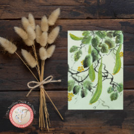 Cartão Postal pepino chinês