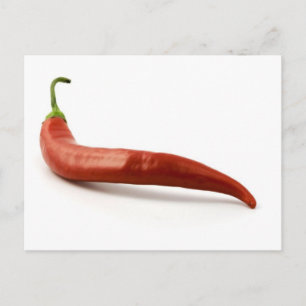 Cartão Postal Pepper Quente Vermelho Em Fundo Branco