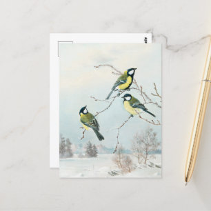 Cartão Postal Pequenas aves bonitas de Matti Karppanen, Birds Ar