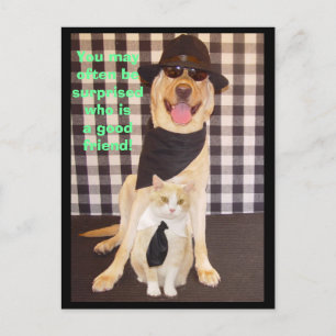 Cartão Postal Pequeno Amigo