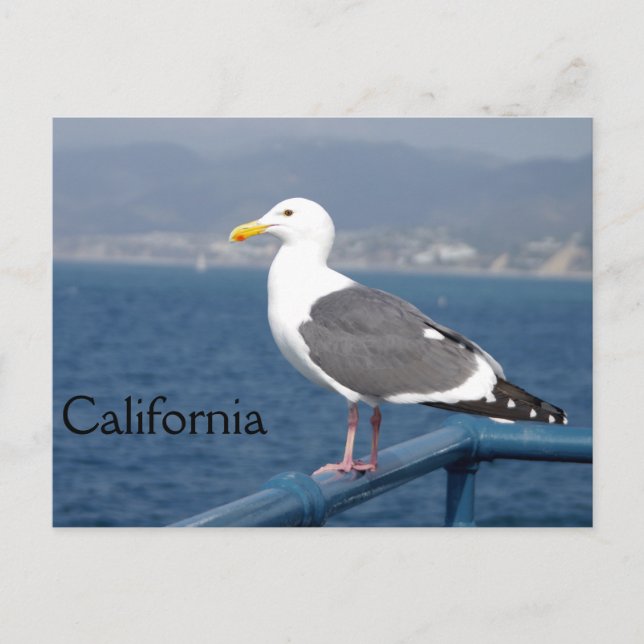 Cartão Postal Pequeno Birdy (Frente)